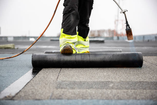 Best Roof Maintenance and Cleaning  in Quincy, CA
